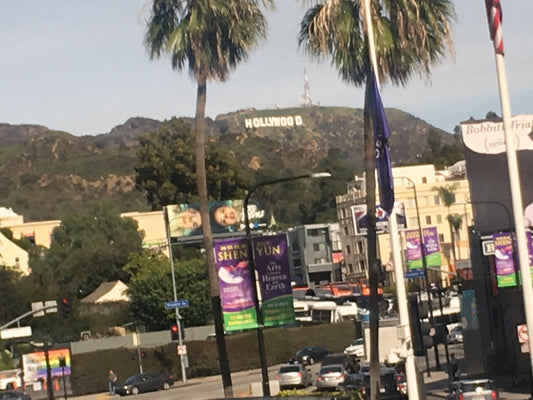 Boss Essentials LA USA Nick & Gunnar redefining sleep